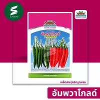 ราคา เมล็ดพันธุ์ พริกลูกผสม อัมพวา โกลด์ ตราตะวันต้นกล้า ลอตใหม่ (1732921344134448446)