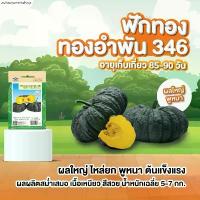 ราคา avbnqwestsshop ขายร้อน มีครบ! เมล็ดพันธุ์ ฟักทอง เจียไต๋ ทองอำไพ 426 346 ทองอำพัน ทองสยาม สควอช ลายข้าวตอก บัตเตอร์นัท Butternut (1731057114677545606)