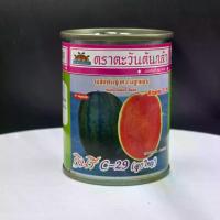 ราคา เมล็ดพันธุ์ แตงโม กินรี C-29 F1-Hybrid (ลูกใหญ่) ขนาด 40 กรัม (1732772031428593462)