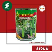 ราคา รีเจนซี่ เมล็ดพันธุ์ แตงกวา ลูกผสม ตรา ดาวทอง ลอตใหม่ (1732961152665814334)