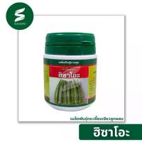 ราคา เมล็ดพันธุ์ กระเจี๊ยบเขียว ฮิซาโอะ ลอตใหม่ 50 กรัม (1733104688234005822)