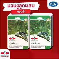 ราคา ผักซอง ศรแดง เมล็ดพันธุ์ พันธุ์ผักบวบงู คอบร้าGG F1 บรรจุแพ็คล่ะ 10 ซอง (1733294128838510546)