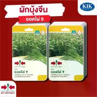 ราคา ผักซอง ศรแดง เมล็ดพันธุ์ พันธุ์ผัก ผักบุ้ง ยอดไผ่ F1 บรรจุแพ็คล่ะ 10 ซอง (1733316795362478034)