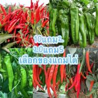 ราคา y [10 เเถม 2คละได้]เมล็ดพันธุ์ พริกขี้หนู พริกชี้ฟ้ าพริกยาว พริกเขาแพะ พริกยักษ์บิ๊กจิม (1733390162424923601)