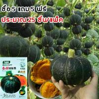 ราคา 【ซื้อ 5 แถม 5 ฟรี】ฟักทองญี่ปุ่น 25 ชิ้น เมล็ดพันธุ์ เมล็ดฟักทองฮันนี่ บัตเตอร์นัท เมล็ดพันธุ์ออร์แกนิค เมล็ดพันธุ์หายาก เมล็ดพันธุ์นำเข้า เมล็ดพันธุ์ผัก สวนผัก ชุดปลูกผัก (1733044320086099640)