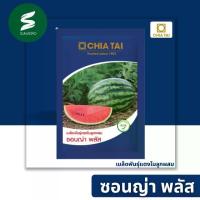 ราคา เมล็ดพันธุ์ แตงโมลูกผสม แตงโม ซอนญ่า พลัส 40 กรัม ลอตใหม่ (1732878733824460094)