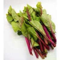 ราคา ผักปลังม่วง เมล็ดพันธุ์ 30-400 เมล็ด มีคู่มือปลูก (1730138634849519777)