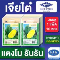 ราคา เมล็ดพันธุ์ ผักซอง แตงโมเหลืองรันรัน CT25 ตราเจียไต๋ บรรจุแพ็คละ 10 ซอง ราคา 190 บาท (1733317701116856274)