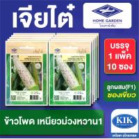 ราคา เมล็ดพันธุ์ ผักซอง ข้าวโพดเหนียวม่วงหวาน CT25 ตราเจียไต๋ บรรจุแพ็คละ 10 ซอง ราคา 190 บาท (1733317707618093010)