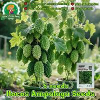 ราคา คุณภาพดี 5 เมล็ด ปลูกง่าย โตไว เมล็ดพันธุ์มะระขี้นก Round Bitter Gourd Seeds Ampalaya Seeds for Planting Vegetables Plants มะระขี้นก มะระหัวใจ รวมเมล็ดพันธุ์มะระหลากหลายสายพันธุ์ (1732994208002836453)