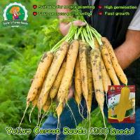 ราคา เมล็ดพันธุ์ แครอท สีเหลือง 300 เมล็ด Solar Yellow Carrot Seeds for Planting Vegetables Plants Vegetables Seeds เมล็ดพันธุ์แท้ นำเข้าจากต่างประเทศ ปลูกผัก สวนครัว ผักสลัด เมล็ดพัน (1732887822200965093)