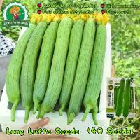 ราคา เมล็ดพันธุ์ บวบหอมยาว งอกง่าย 40เมล็ด/ซอง บวบหอม สายฟ้า High Yield Long Luffa Seeds for Planting Vegetables Plant Seed F1 เมล็ดใยบวบยาว บวบหอมยาว เมล็ดพันธุ์ OP แท้ ผักออร์แกนิก (1732994215986235365)