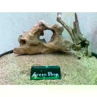 ราคา อุปกรณ์จัดสวน หินประดับตู้ปลาหินรูหินจัดสวนถาดหินปลูกบอนไซนำ้หนัก1-2kgต่อ1ก้อนหินรูพรุนหินธรรมชาติGarden stone อุปกรณ์ทำสวน (1733027226648610437)