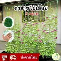ราคา [ส่งเร็ว] ตาข่ายไม้เลื้อย 5 เมตร ตาข่ายไนลอน 0.9/1.8/3.6/5เมตร อวนปลูกผักแหปลูกต้นไม้ อุปกรณ์ทำสวน ตาข่ายไนลอนไม้เลื้อย (1733226410622879334)