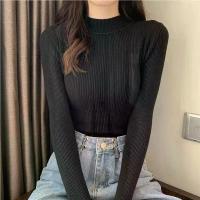ราคา [พร้อมส่งจากประเทศไทย] เสื้อเชิ้ตแขนยาวผู้หญิง แฟชั่นผู้หญิง เสื้อคอเต่าเรียบ เสื้อแขนยาว ผ้าไหมเนื้อนุ่มสบาย สีดำ (1733313375965447956)