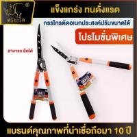 ราคา ตราแรด กรรไกรตัดหญ้า กรรไกรแต่งกิ่ง กรรไกรเล็มหญ้า ตัดหญ้า ตัดกิ่ง ตัดพุ่มไม้ แต่งพุ่มไม้ ยืดหดได้ ทำสวน อุปกรณ์แต่งสวน กรรไกร แต่ง สวน กรรไกร ตัด หญ้า (1732937733169644566)