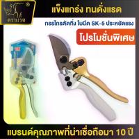 ราคา ตราแรด กรรไกรตัดกิ่ง 8 นิ้ว SK-5 กรรไกรแต่งกิ่ง กรรไกรบอนไซ กรรไกรตัดต้นไม้ กรรไกรทำสวน ด้ามทอง มีด ตอน กิ่งไม้ ที่ ถาง หญ้า กรรไกรตัดกิ่ง ไม้ ทดแรง 3 จังหวะ ไม่รับประกัน ใบมีดเห (1732680509286811283)