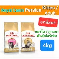 ราคา Exp.2026 ปีหน้า Royal Canin Persian Adult 4kg / Kitten โรยัลคานิน แมวโต ลูกแมว เปอร์เซีย ถุง กก (1733043771947452012)