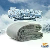 ราคา ผ้านวม ผ้าห่ม รุ่น Soft Touch ขนาด 70"x90" ถูกและดี ซักแล้วใยไม่กองเป็นก้อน ระบายอากาศดี เก็บความอบอุ่นได้ดี พร้อมส่ง แมว หมอน คุโร มิ ใย สังเคราะห์ (1733430621550642514)
