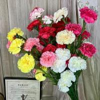 ราคา คาร์เนชั่นแซมยอดหญ้า 5 ดอก ดอกไม้ ดอกไม้ประดิษฐ์ (1733269138014897719)