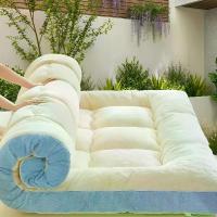 ราคา แผ่นรองที่นอนฤดูหนาว, ฐานรองที่นอนหอพัก, ตัวป้องกันที่นอนที่บ้าน, แผ่นรองนุ่มเดี่ยวและคู่, เหมาะสำหรับใช้แคมป์ปิ้งและเดินป่า, 1 ชิ้น กระเช้า ดอกไม้ ไม้ บราซิล นําโชค (1732802779719435767)