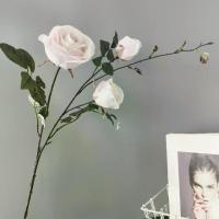 ราคา ชุดภาพวาดสีน้ำมันดอกไม้ประดิษฐ์, กุหลาบขอบทำมือ, สไตล์ยุโรปและอเมริกา, เหมาะสำหรับตกแต่งบ้าน, ห้องจำลอง, อุปกรณ์ถ่ายภาพงานแต่งงาน, ดอกไม้ปลอม, [COD] เหรียญ เสมา โสธรรุ่น แรก 2460 พระผง รุ่น (173305714