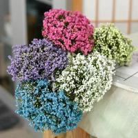 ราคา ดอกไม้ประดิษฐ์, ลมหายใจเด็ก, ดอกยิปโซสีขาว, ดอกไม้ปลอม, เหมาะสำหรับเจ้าสาวงานแต่งงาน, ช่อดอกไม้ DIY, ตกแต่งแจกันในบ้านและสวน, ชุด 12 ชิ้น (1732372276791903386)