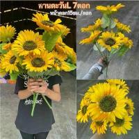 ราคา ดอกทานตะวันปลอม ดอกใหญ่ ช่อ7ดอก ตกแต่งบ้าน ดอกไม้ปลอม sunflower ดอกไม้ประดิษฐ์ ดอกไม้ผ้า ดอกทานตะวัน (1731995687297188999)