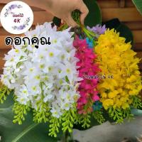 ราคา สินค้าขายดี ดอกคูณ ดอกไม้ปลอม 10ช่อ ดอกคูณขาว เหลืองดอกคูณ ช่อดอกไม้ปลอม ดอกไม้ประดิษฐ์ ดอกราชพฤกษ์ ช่อราชพฤกษ์ ร้านดอกไม้ราชพฤกษ์ (1731560666646611944)