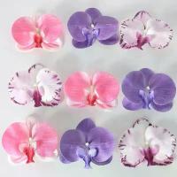 ราคา หัวดอก Phalaenopsis, เคลือบ 3 มิติ, ตกแต่งด้วยมือ, ตกแต่งงานแต่งงาน, ดอกไม้ปลอม, ดอกไม้ผ้าโพกศีรษะ DIY, ประณีต, ตกแต่งเสื้อผ้า, ของขวัญด้วยมือ (1731999236828203627)