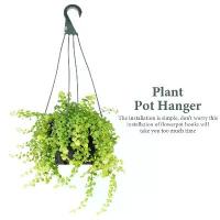 ราคา ตะขอแขวนต้นไม้พลาสติก ชุด 5 ชิ้น ที่ใส่ชาวไร่แบบแขวน อเนกประสงค์ ที่แขวนกระถางดอกไม้ โซ่แขวนกระถางดอกไม้ 4 ตะขอ เหมาะสำหรับแขวนต้นไม้ (1732307378083301066)