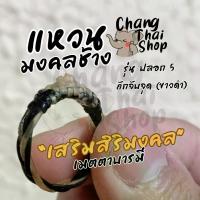 ราคา ร้อยในชีวิตประจำวัน, ของขวัญสำหรับคู่รัก, แหวนหางช้าง ปลอก 5 ถักจับจุด (หางขาวดำ) 100% ，Seasonal trend (1734217602824046177)