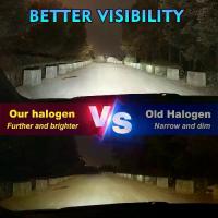 ราคา Fit สําหรับ Honda Civic (FB) 9th Gen 2011-2016 ไฟหน้ารถหลอดไฟ Super White ฮาโลเจน 800% ความสว่าง 100W 6000K 20000LM Plug-N- Play Canbus ไม่มีข้อผิดพลาด (1733622706597758122)