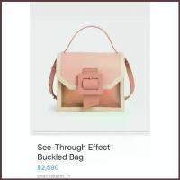 ราคา กระเป๋า แบรนด์ charles&keith (1734227762330175140)