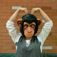 ราคา COSPLAY คอสเพลย์ Monkey Mask หน้ากากลิงสุดฮา สำหรับฮาโลวีน Halloween คริสต์มาส Christmas ป่วนงานปาร์ตี้ (1734364263290864785)