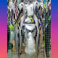 ราคา ชุดสีโซนิค Sonic ตัวใหม่ สีบรอนซ์ สีเทา เฟรมงานABS (1733909638549112092)