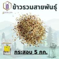 ราคา สินค้าแนะนำ มีบริการเก็บปลายทาง ข้าวกล้องรวม3สายพันธุ์แพคกระสอบ 5กิโลกรัม ข้าวพันผัก อุตรดิตถ์ ข้าวหอมมะลิ แท้ 15 โล ส่ง ฟรี หอมมะลิ ใหม่ เส้น สปาเก็ตตี้ สําเร็จรูป ข้า (1734143750362137840)
