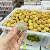 ราคา ลำไยสด 1 ตะกร้า JUMBO เกรดส่งออกพรีเมี่ยม (1731920610848574414)