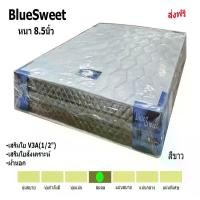 ราคา ที่นอน สปริง เสริมใย2ชั้น BlueSweet ขนาด 3.5/5/6 ฟุต หนา 8.5 นิ้ว (1733679045465965747)