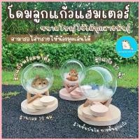 ราคา ชุดโดมลูกแก้วแฮมเตอร์ ขนาดใหญ่ สามารถใส่ทรายได้//โหลแก้วแฮมเตอร์ บ้านแฮมเตอร์ ที่นอน อ่างอาบน้ำ ห้องน้ำ มินิมอล สวัสดิการสด (1732893471761991217)