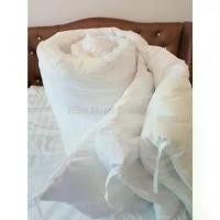 ราคา Extra Microfiber Duvet 250 g/sm. for Queen - King Bed ไส้ผ้านวมงานโรงแรม ขนาด 90” x 100” สำหรับใช้กับเตียง 5-6 ฟุต ผ้า Super Soft Japan กันไรฝุ่น (1734083839413618308)