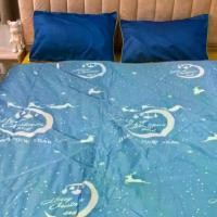 ราคา ผ้าห่ม ขนเป็ดเทียม ขนาด 7 ฟุต 200x230 cm หนานุ่ม ใยไม่กอง ห่มสบาย (1731203648352061135)