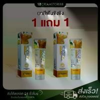 ราคา [ 1แถม1 ] ยาสีฟันขิง ยาสีฟัน ขิงขิง จัดฟัน บียอนด์ Beyond ยาสีฟันบอสหนุ่ม Khingkhing (1731715565684164950)