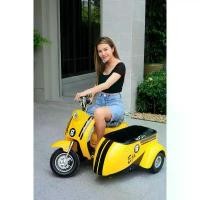 ราคา มอเตอร์ไซค์ไฟฟ้า 3 ล้อ รถไฟฟ้าพ่วงข้าง Champ Auto (1731488432836479323)