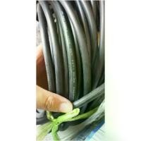 ราคา สายไฟ VCT 2x1.5 100 เมตร ANT 10ม. 20ม. 30ม cable wire (1734257183037687321)