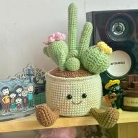 ราคา เครื่องประดับตุ๊กตาผลไม้กระบองเพชรแฮนด์เมด DIY, ชุดถักเส้นด้าย, หม้อ, เหมาะสำหรับตุ๊กตาผลไม้, ชุดถักของขวัญ, ปี 2025 (1732893312898663600)