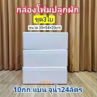 ราคา กล่องโฟม ลังโฟม ปลูกผักไฮโดรโปนิกส์ กล่องกุ้ง 10กก.*3ใบ* ผ้า สแลน กันแดด 2 × 20 เมตร เชือก ทํา ค้าง ผัก ค้าง ไม้ เลื้อย สําเร็จรูป สแลน กัน แสงแดด แบบ รูด เก็บ ได้ ต้น มังกรแดง (1732656807052608784)