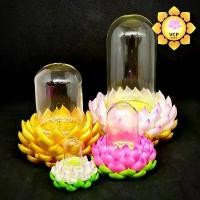 ราคา ครอบแก้วพระ(โดมแก้ว) + ฐานรองพระ ดอกบัว สมเด็จ หลวงปู่ภู พาน แก้ว ฐาน รอง พระพุทธรูป พระปิดตาหลวงปู่โต๊ะ วัดประดู่ฉิมพลี ชุด พระแม่ธรณี แอน โท เนีย (1732805854034429342)