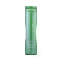 ราคา จัดส่งทันที. Satinique แชมพู 2 in 1 shampoo and conditioner ขนาด 280 ml. (1733860523802658443)