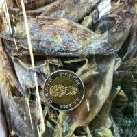 ราคา หมึกกะตอยตากแห้ง - Dried Squid (1730389876864748519)